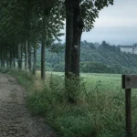 Parc de Brabois : allée bordée de prairies vers Nancy